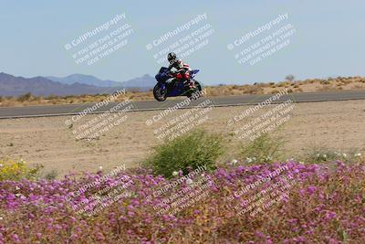 media/Mar-12-2023-SoCal Trackdays (Sun) [[d4c8249724]]/Turn 15 Inside Bloom (130pm)/